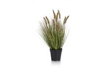 Coco Maison COCO MAISON  Pennisetum Grass plant H58cm